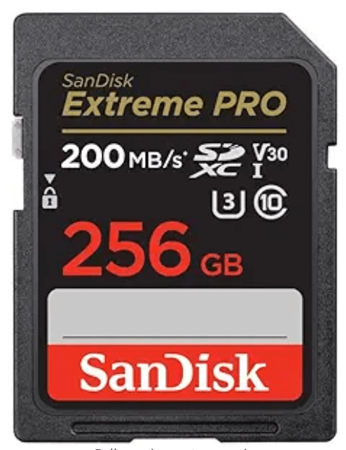 256 Sandisk Class 10 SD Card