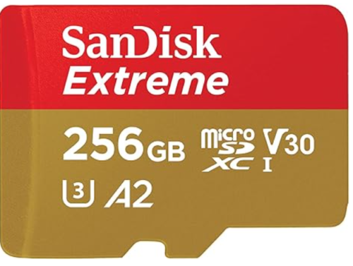 MicroSD Card by SanDisk